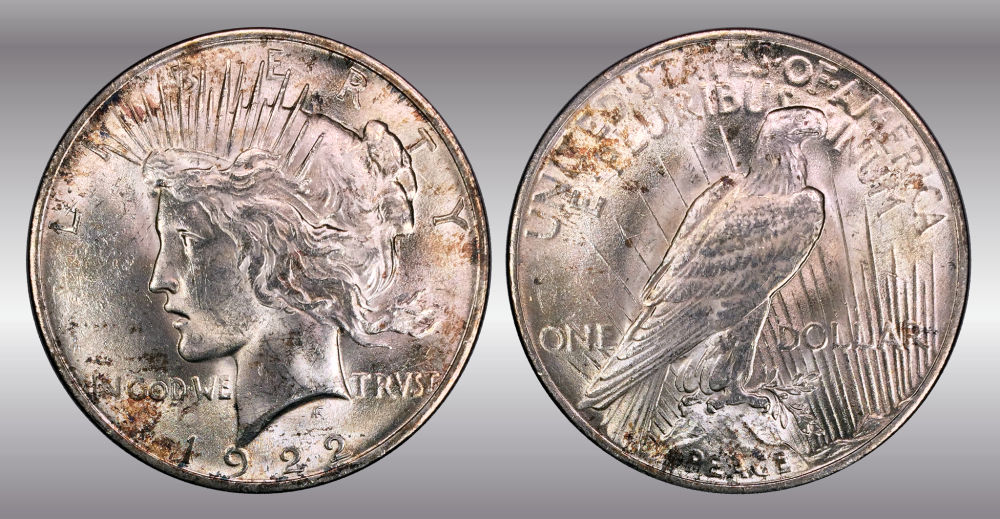 My-Raw-Peace-Dollar-Collection.-.-.-.-Warning!